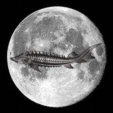Rituel Sturgeon Moon