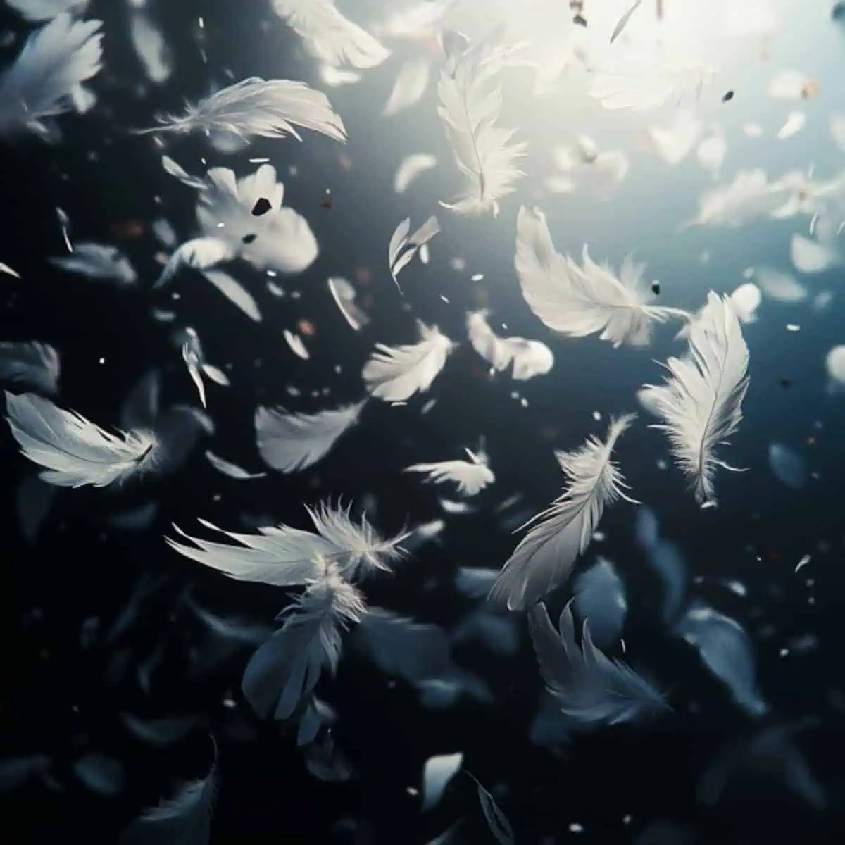 Les signes de l'univers